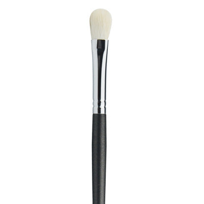 Beginner Makeup Brush Set