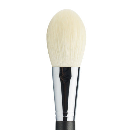 Beginner Makeup Brush Set