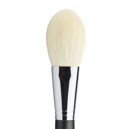 Beginner Makeup Brush Set