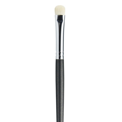 Beginner Makeup Brush Set