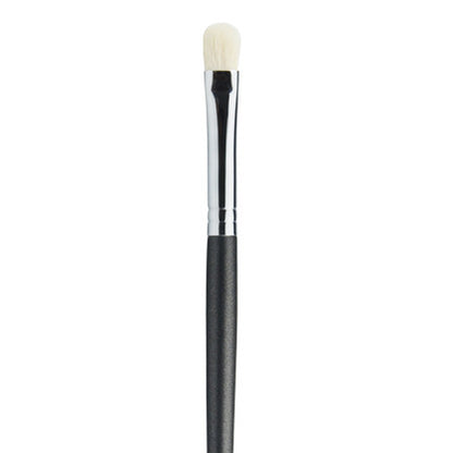 Beginner Makeup Brush Set