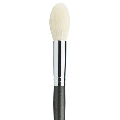 Beginner Makeup Brush Set