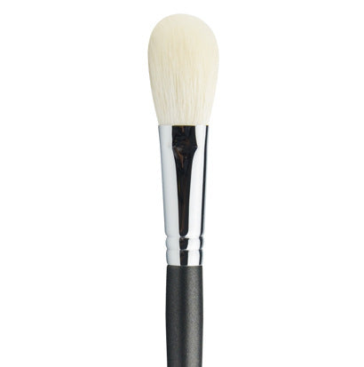 Beginner Makeup Brush Set
