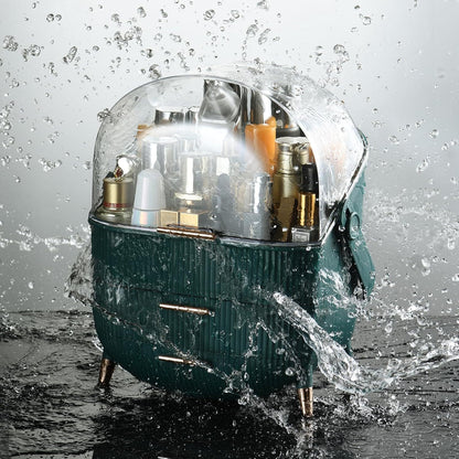 Organizer with 2 Drawers